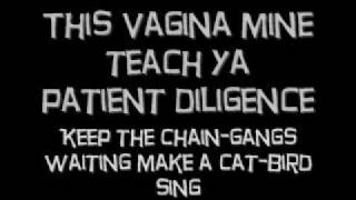 puscifer-vagina mine lyrics