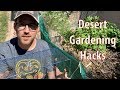 Desert Gardening Hacks for Spring and Summer Seasons