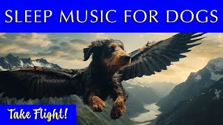 Music for Sleepy Dogs | Soft Ambience to Help Your Pup Sleep