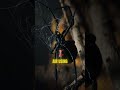 Spiders Can Fly?! Not Exactly, But It’s Even Cooler