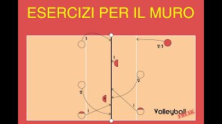 esercizi per muro #GoGuidoniaVolley #esercizi