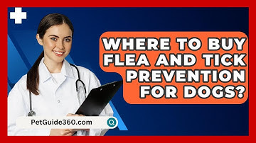 Where To Buy Flea And Tick Prevention For Dogs? - PetGuide360.com