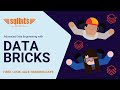 Advanced Data Engineering with Databricks on the Lakehouse - Vuong Nguyen and Liping Huang