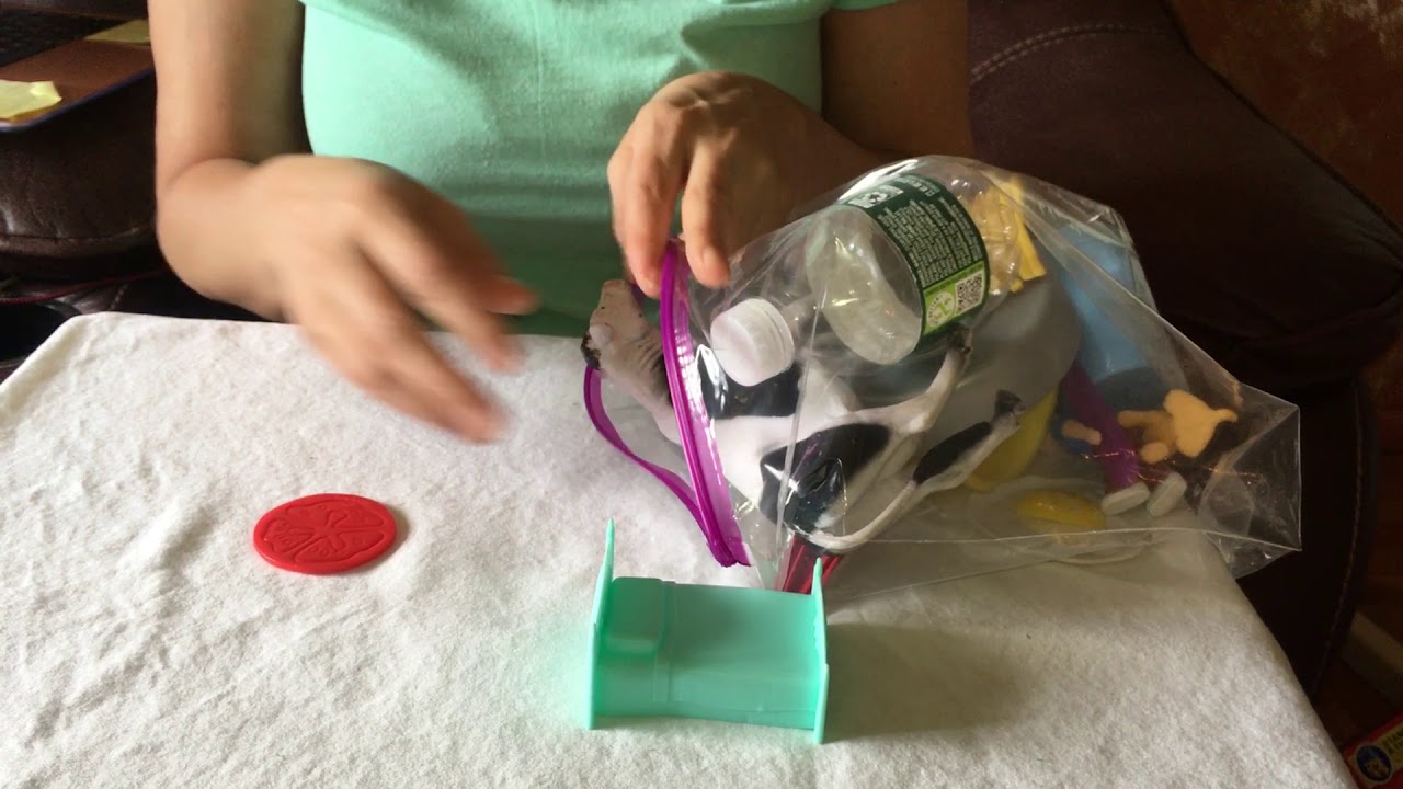 Clean-Up Program