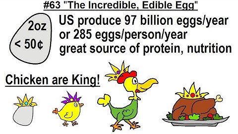 Can You Believe It? #63 The Incredible Edible Egg