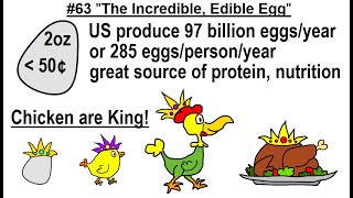 Can You Believe It? #63 The Incredible Edible Egg