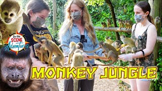 We visited Monkey Jungle in Miami to feed Capuchin & Squirrel Monkeys!!! 91-year-old Attraction!