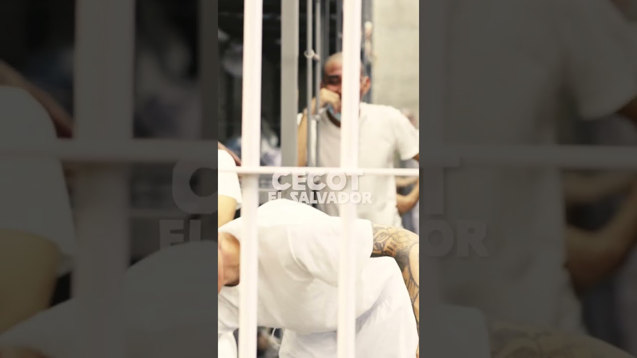 The Terrorism Confinement Center (