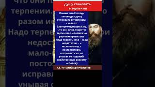Душу стяжевать в терпении. Св. Игнатий Брянчанинов