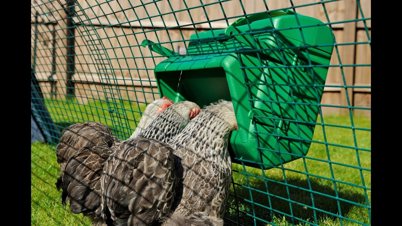 Spildfri foderautomat til trådnet