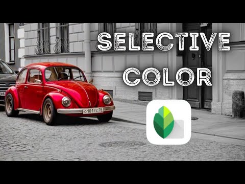 Selective Color In Snapseed Tutorial I Color Splash Effect