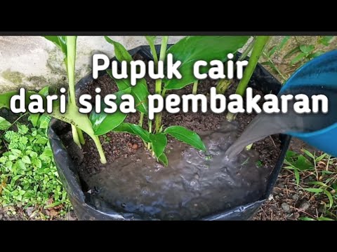 Pupuk cair dari abu kayu atau abu dapur , Manfaat dan cara pengaplikasian nya