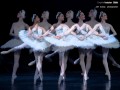 Tchaikovsky Swan Lake Ballet Suite Danse des petites cygnes