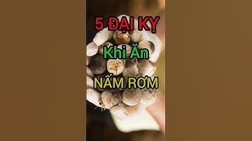 5 Đại Kỵ Khi Ăn Nấm Rơm Cần Đặc Biệt Chú Ý #dinhduong #health #suckhoe
