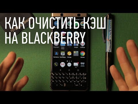 Video: Blackberry Kvass Hauv Qhov Cub Qeeb