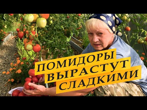 Чтобы помидоры были сладкими.