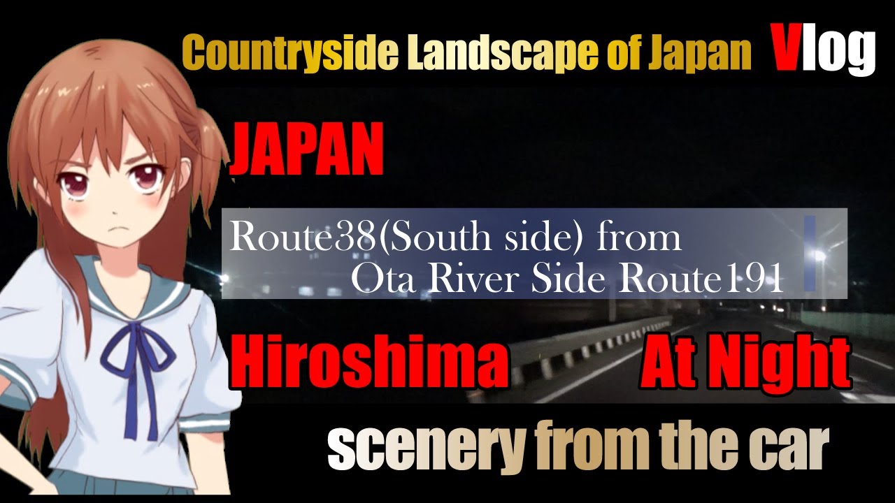 【Japanese landscape】Ota River Side Route191 at night in Hirosima【scenery from the car】