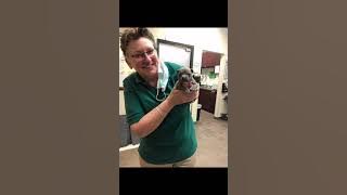 v12044gd0000cn41537og65tkd9945q0.mp4