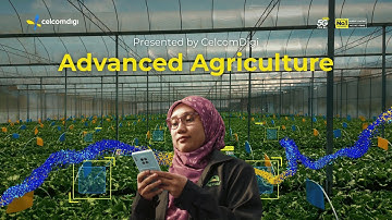 5G Smart Farming: AI & IoT Revolutionise Malaysian Agriculture