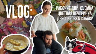 45. VLOG☀️ДЕНЬ БАРИСТА, съемка рислов, цветная вечеринкам подругами и дрессировка 🐶