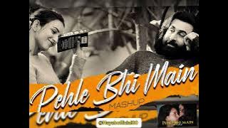 Pehle Bhi Main Mashup | Sid Guldekar | Best of Vishal Mishra | Best of 2024 Mashup | Animal Songs