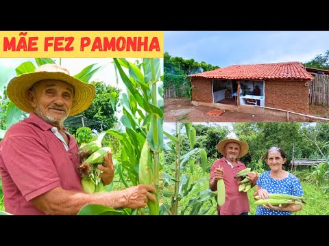 ? Minha Mãe Fez Pamonha e Canjica de milho ? Verde no Sítio Vejam só Felicidade