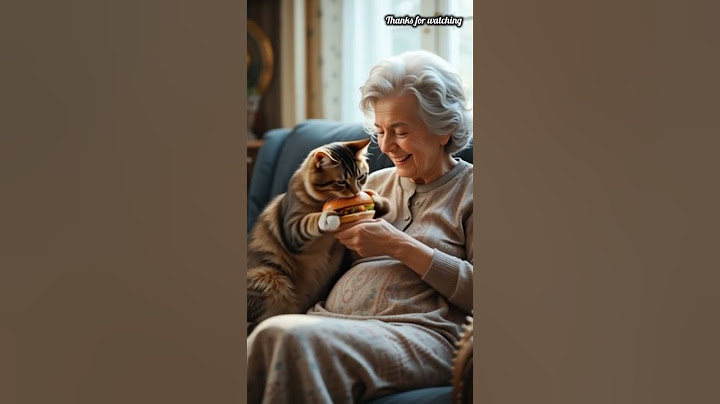Grandma’s cat loved eating burgers 😭#grandma #ai #cat #usa #animals #aistory
