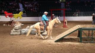 David Cowley - 2017 Calgary Stampede Cowboy Up Dog & Pony Team Challenge screenshot 4