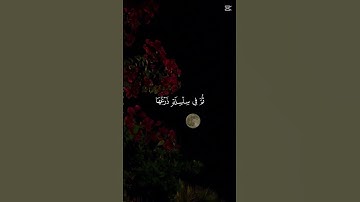 قرآن كريم#اللهم_صل_على_محمد_وال_محمد #اكسبلور_explore #اكسبلور #لايك #المصحف #الرحمن