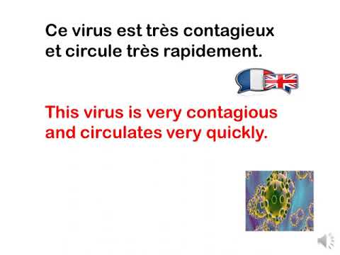 The Corona virus Vocabulary / Le Vocabulaire de Coronavirus ' Based on Mr Larbi Bourquia lesso.) The Corona virus Vocabulary / Le Vocabulaire de Coronavirus ' Based on Mr Larbi Bourquia lesso.)