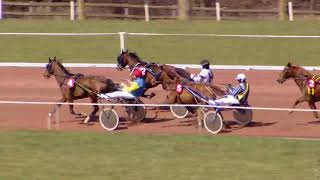 Vidéo de la course PMU PRIX DAVIDSON DU PONT