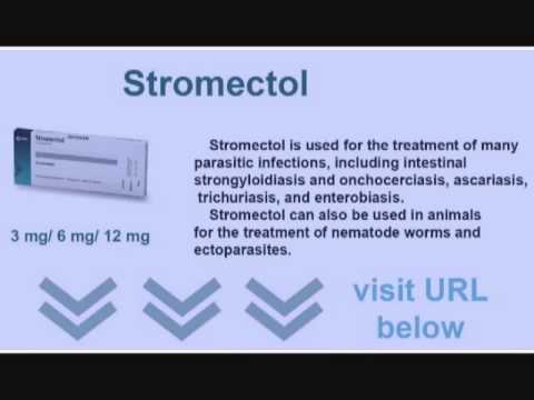 Buy stromectol ivermectin
