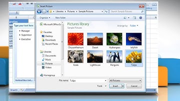 How to add pictures to SmartArt graphic in  Excel 2007 :Tutorial