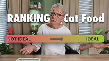 Dr. Judy Ranks Cat Food! What to Look For & Avoid in Cat Food