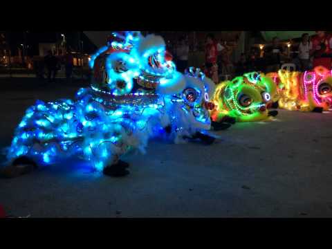 2014 君龍壇庆祝张公圣君千秋 - LED Lion Dance