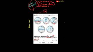 10.Sinif Ve Tyt Öğreten Soru Seri̇si̇ 50-Hücre Bölünmeleri