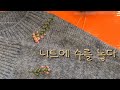 프랑스자수/니트에 수를놓다.프랜치넛트 스티치,플라이 스티치/fly stitch,french knot stitch/hand embroidery