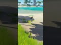 ah ten nowy sezon w sea of thieves #seaofthieves #season17