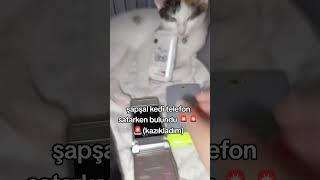#techlover #cat #techtal #smartphone #nostalgia #techtech #android #funny