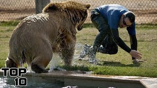 Top 10 Horrifying Zoo Accidents Caught On Camera