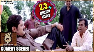 Dhee Telugu Movie || Srihari Back 2 Back Comedy Scenes || Manchu Vishnu, Genelia || Shalimarcinema