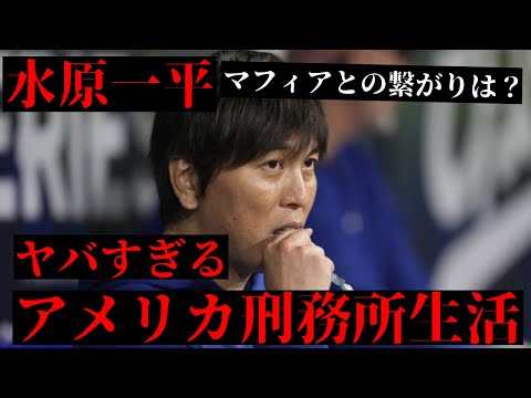 【ヤバすぎ！】水原一平とマフィアの関係は？　これから始まるアメリカ刑務所生活がヤバすぎる