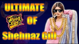 Shehnaz Gill ULTIMATE THUG LIFE | BIGG BOSS 13 - Shehnaz Gill Cute & Funny Momentsl Carry On