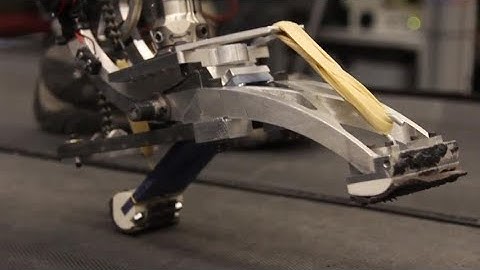 Biomechatronics Laboratory