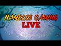 Nameles gaming live | mcoc mod apk | crash issue