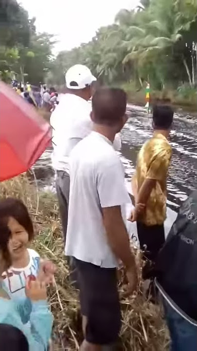 Sampan balap punggur vs sepok laut