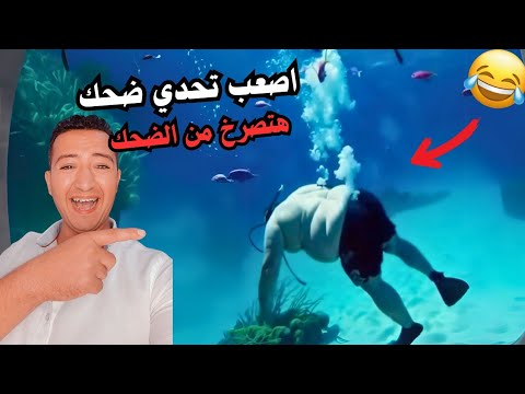 هتصرخ من الضحك مع حبه فرفشه فيديوهات مضحكه جدا 2025