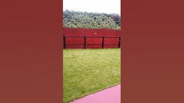 First flip attempt, blade nano cps