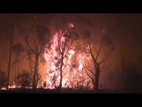 Avustralya'da orman yangını kontrol altına alınamıyor