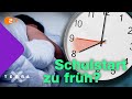 Wie wichtig Schlaf für uns ist | Terra X Plus